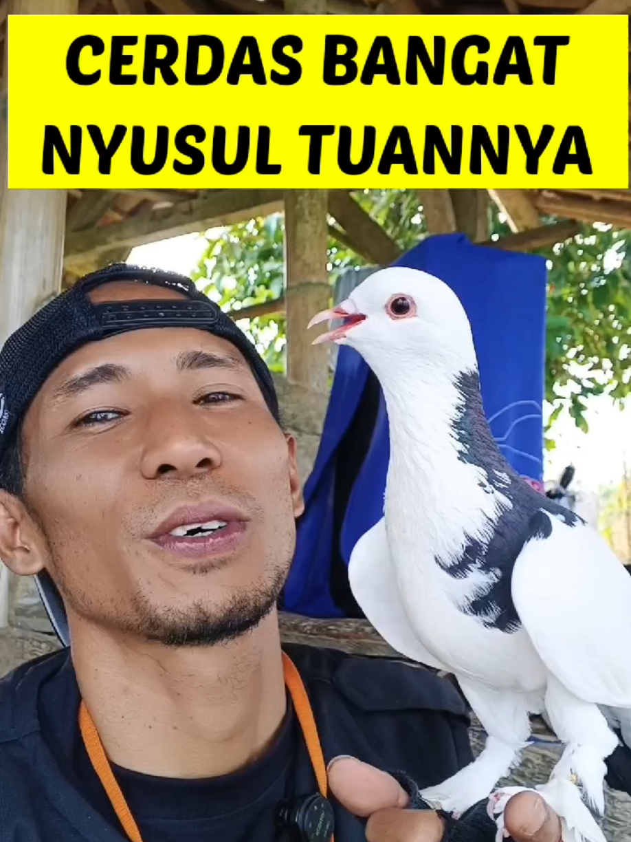 @BANG LEYON