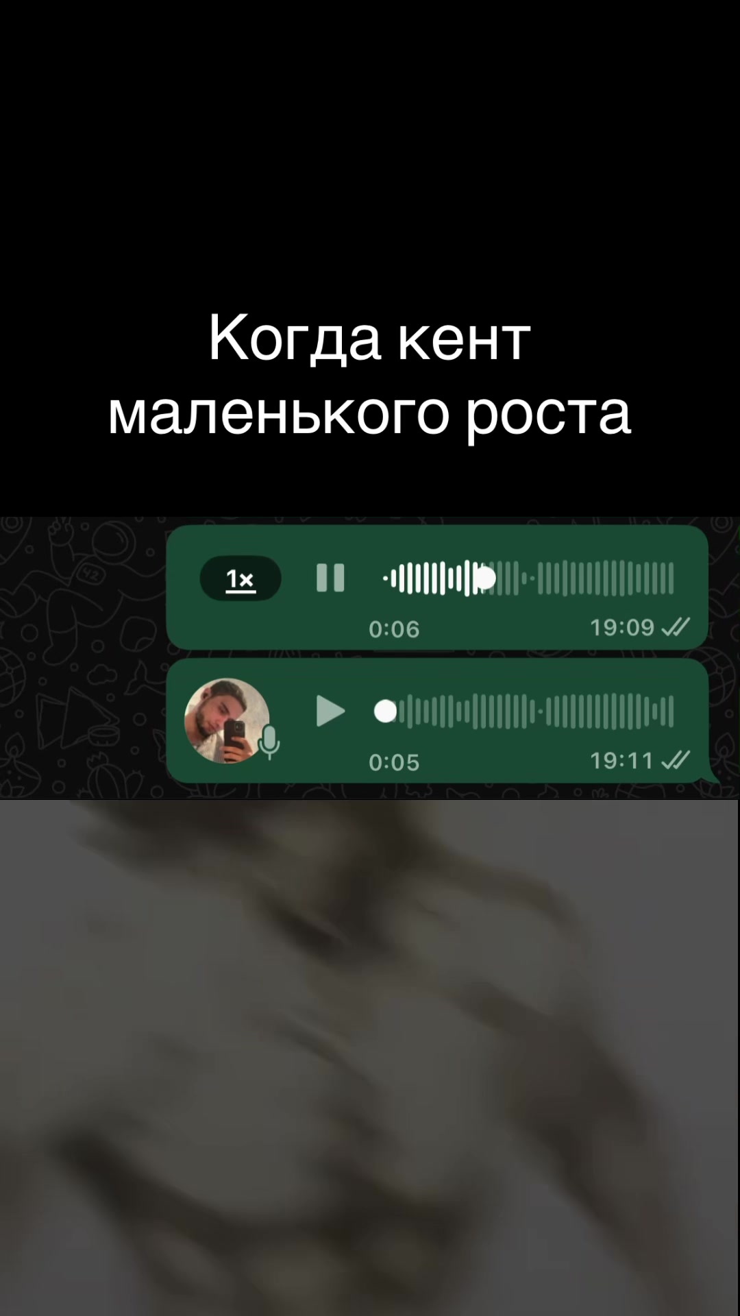 @Asanov_Abdulla