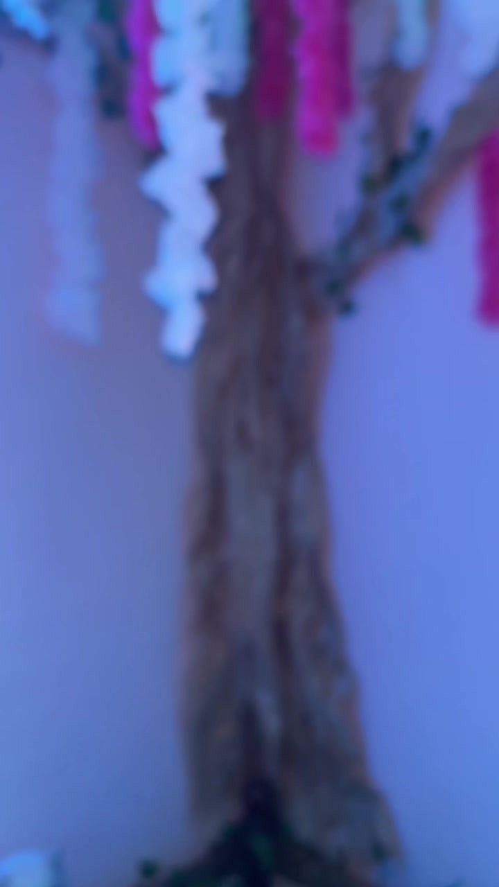 @𓆩Полька𓆪