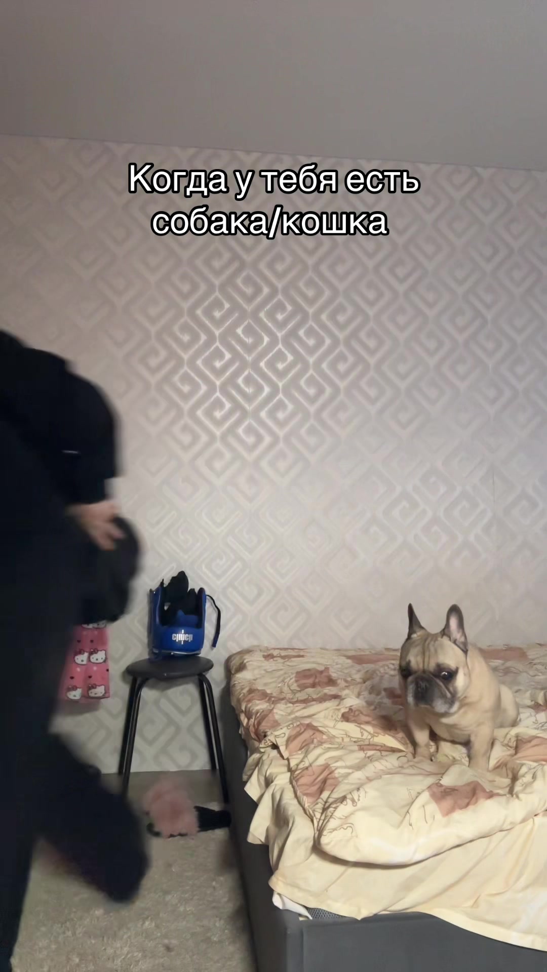 @ВАЙ СЕША