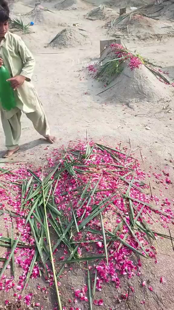 @AD shujrah 💕