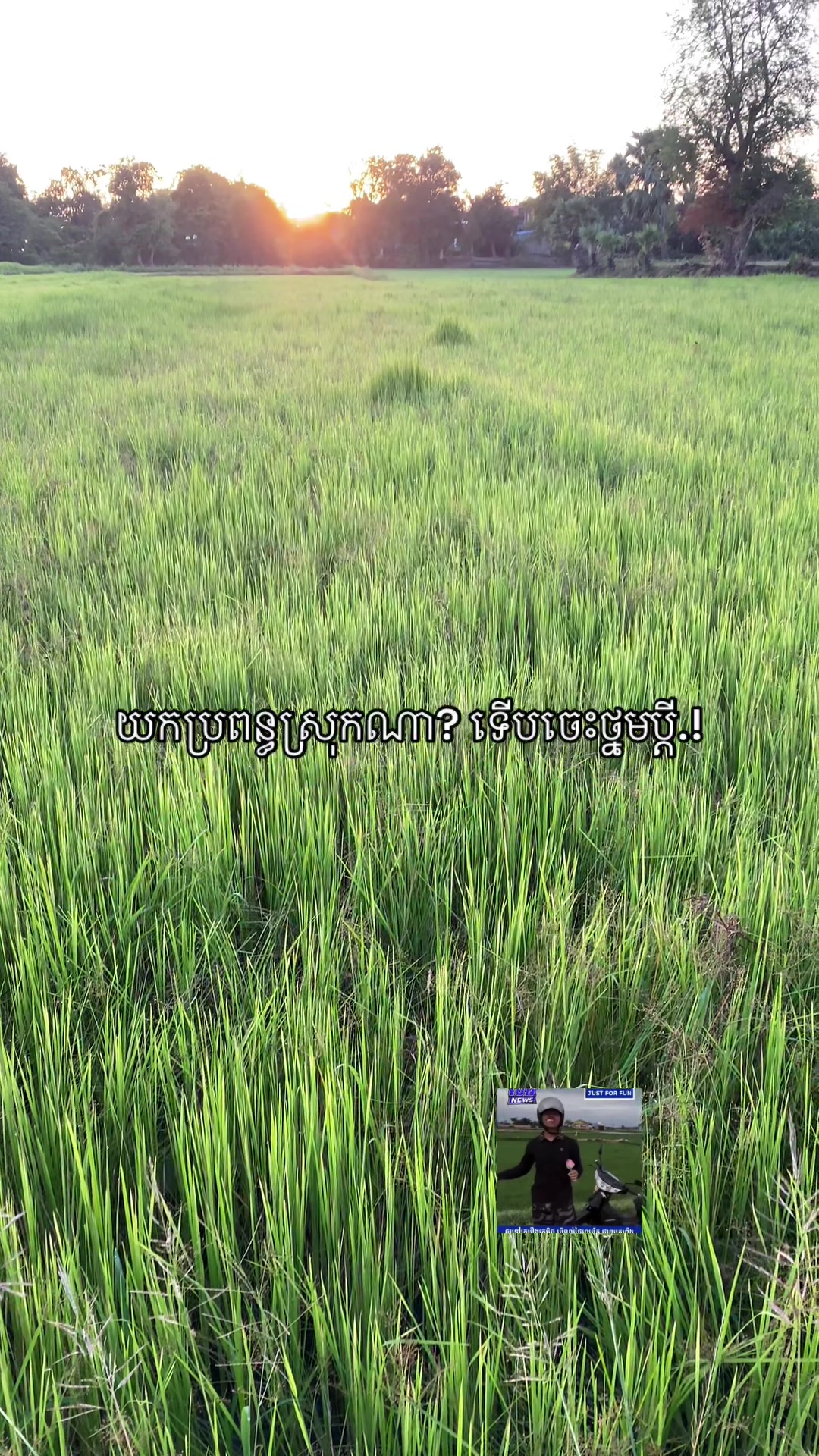 @Sak - แแถแแ๐
๐ค