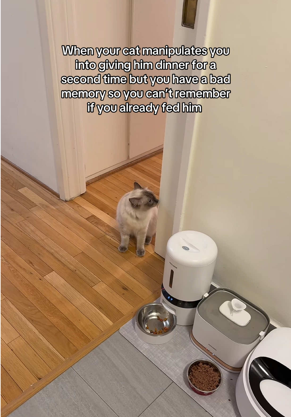@LUMI