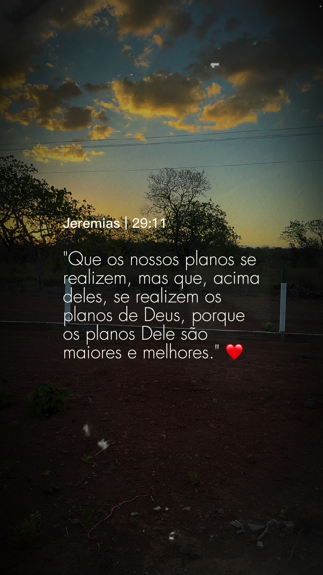 @Suzana Calixto