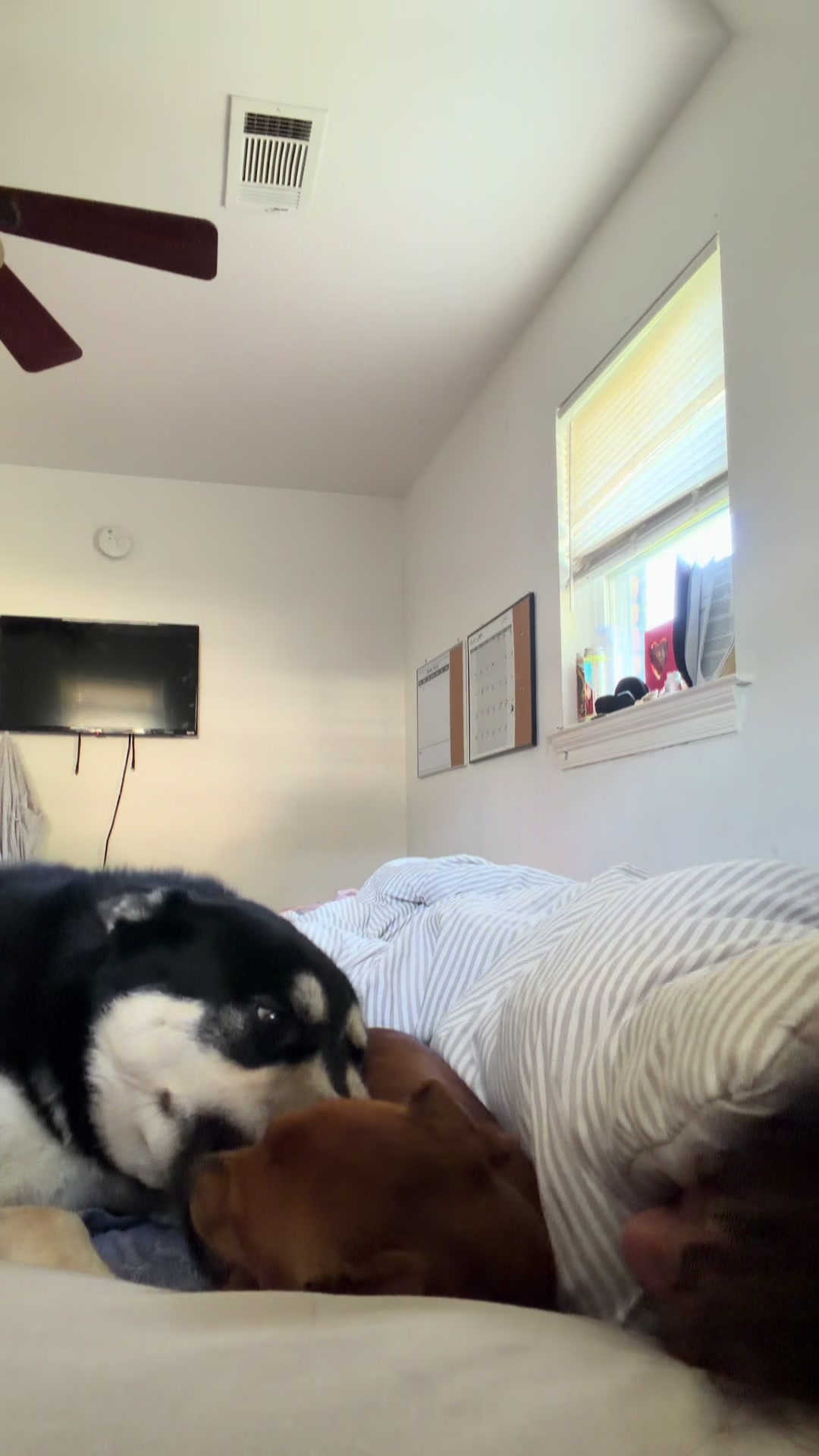 @jeizamariee