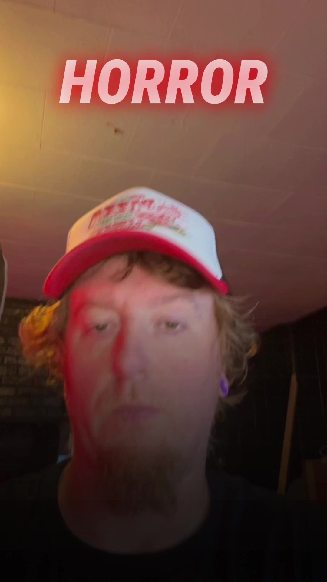 @TheMovieGinger