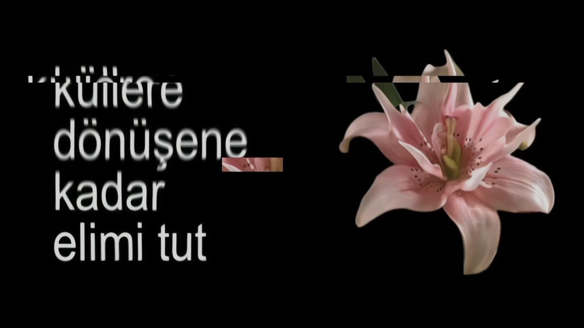 @𝐲𝐰𝐞𝐮