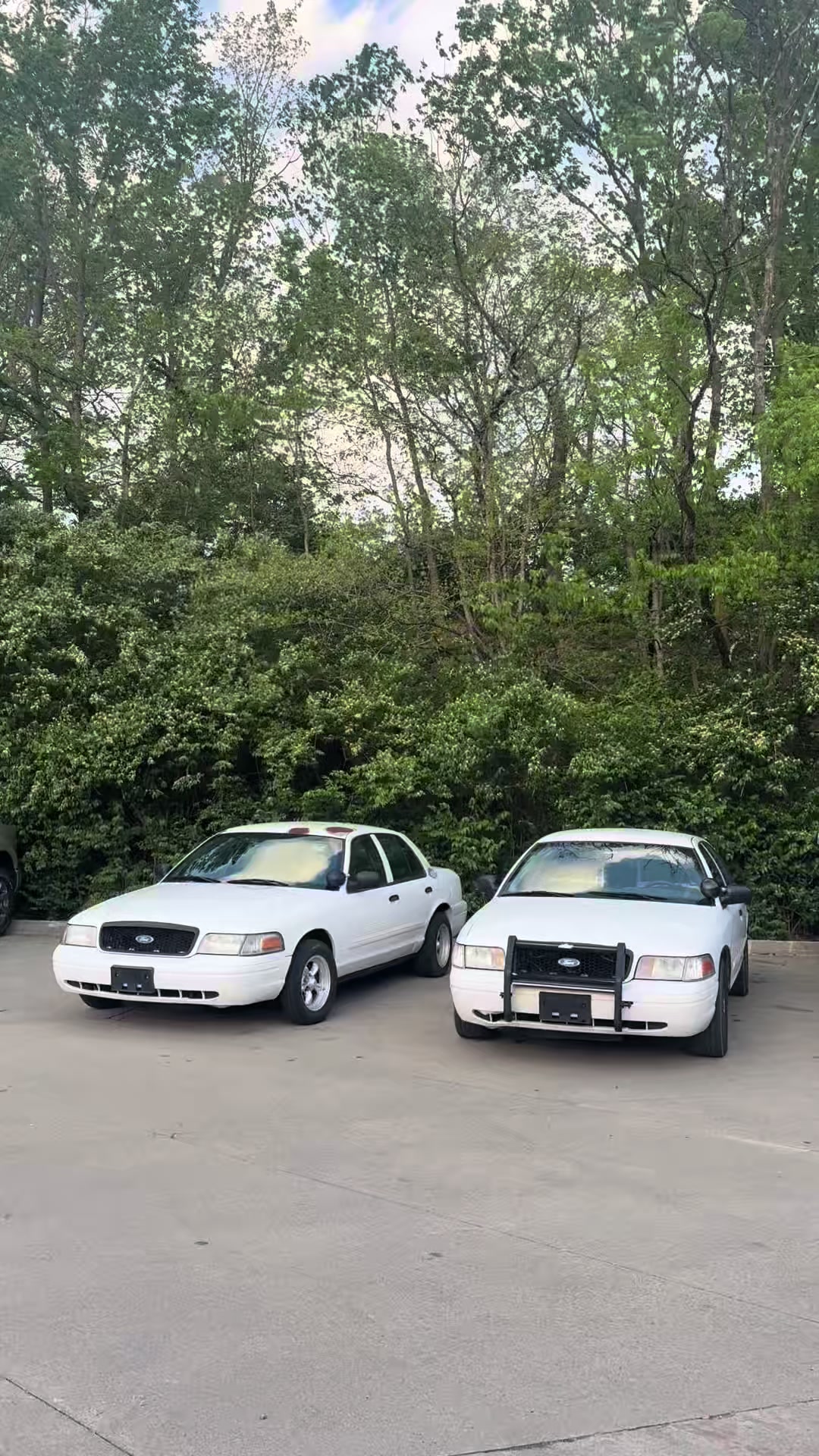 @Crown Vic