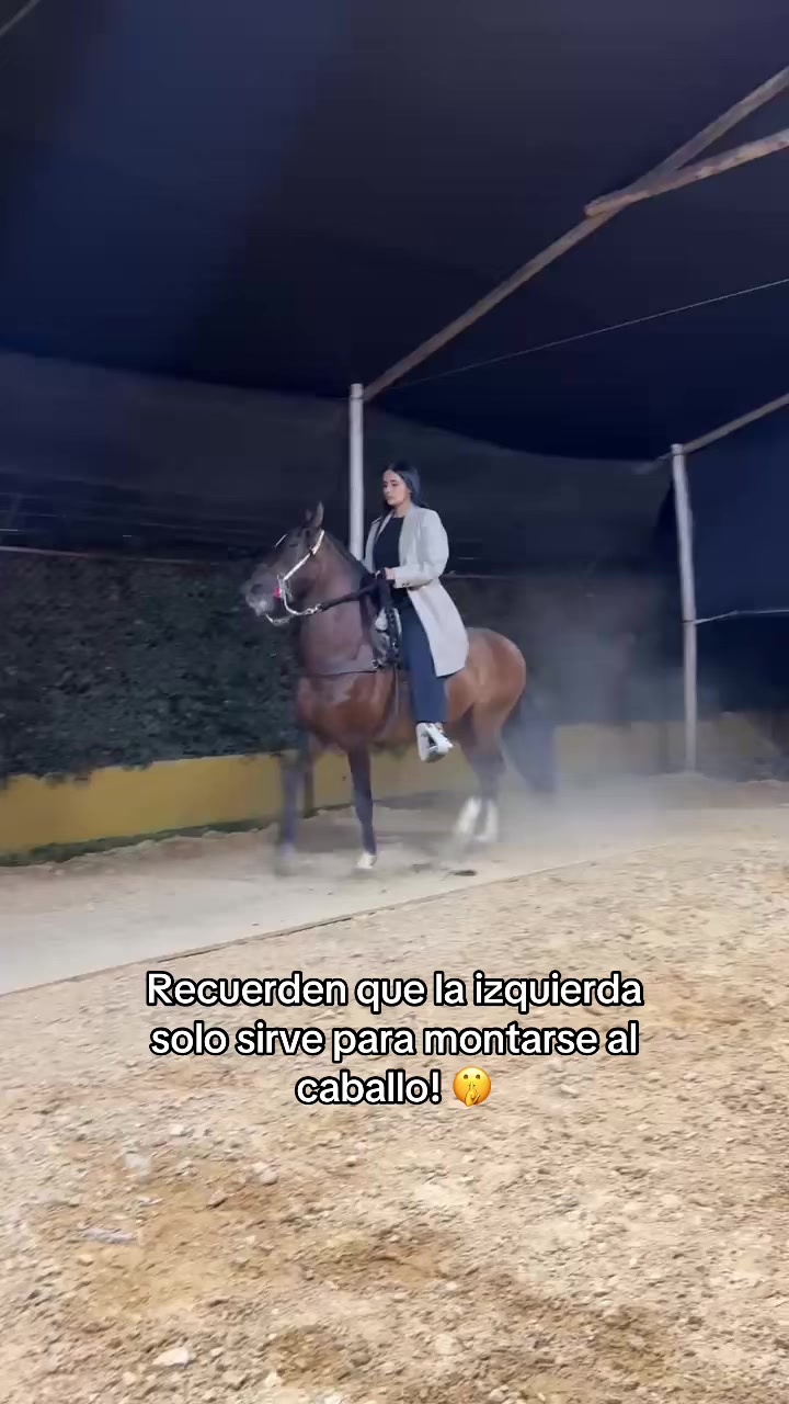 @Vianed Dayana