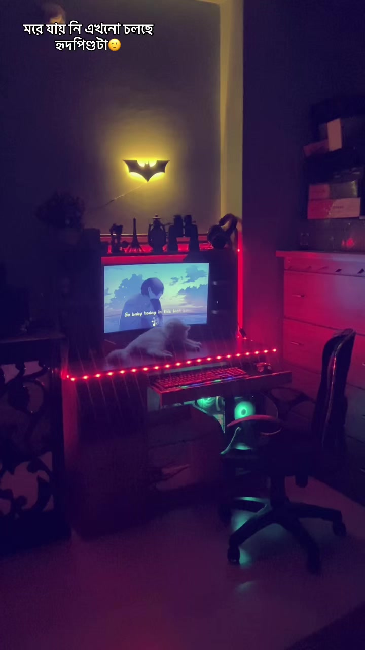 @WHO•?🫧