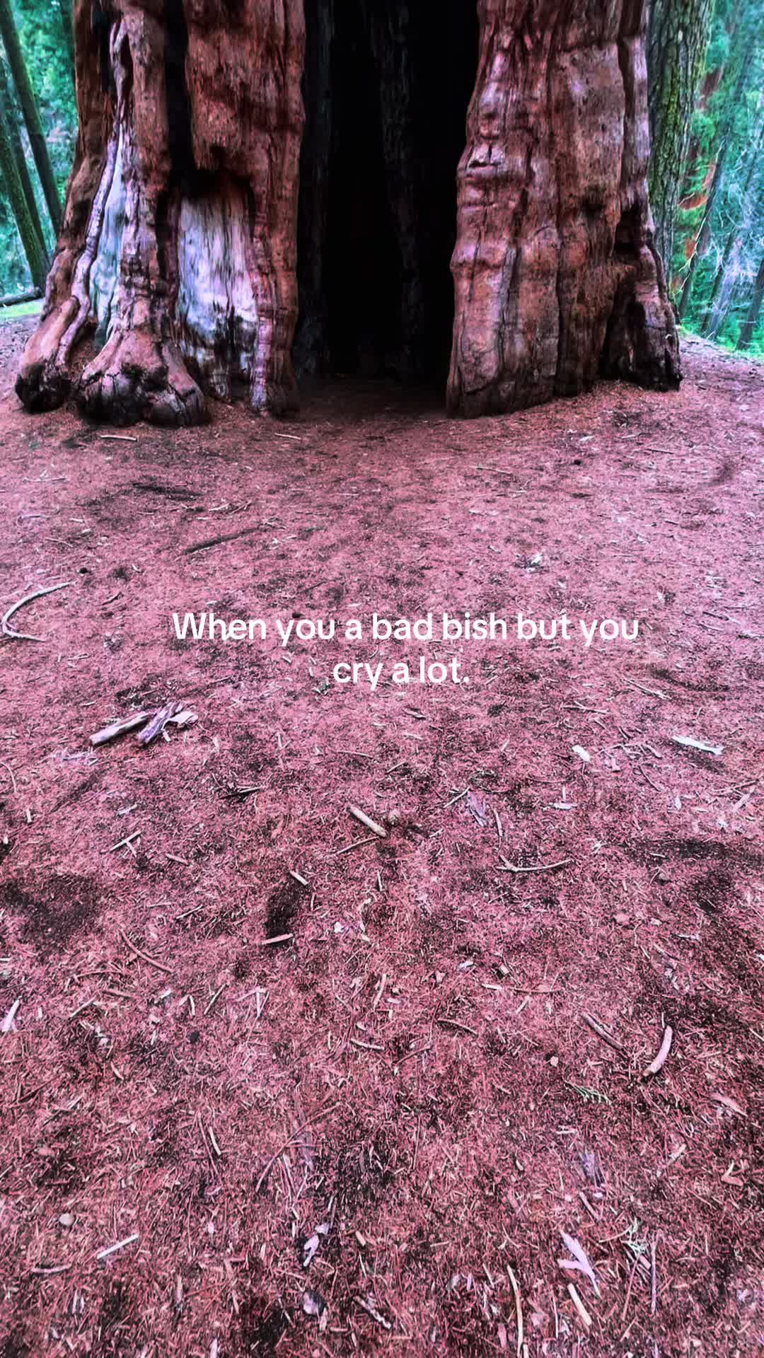 @Kayla