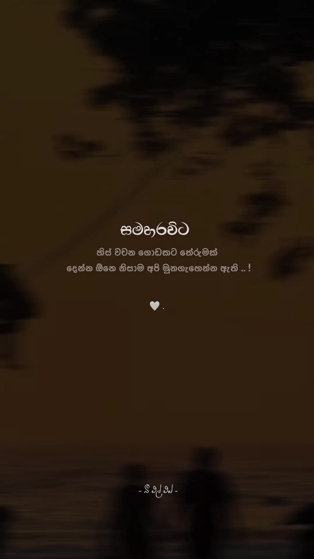 @𝒯𝒽𝑒 𝐵𝓁𝓈 ♡ !