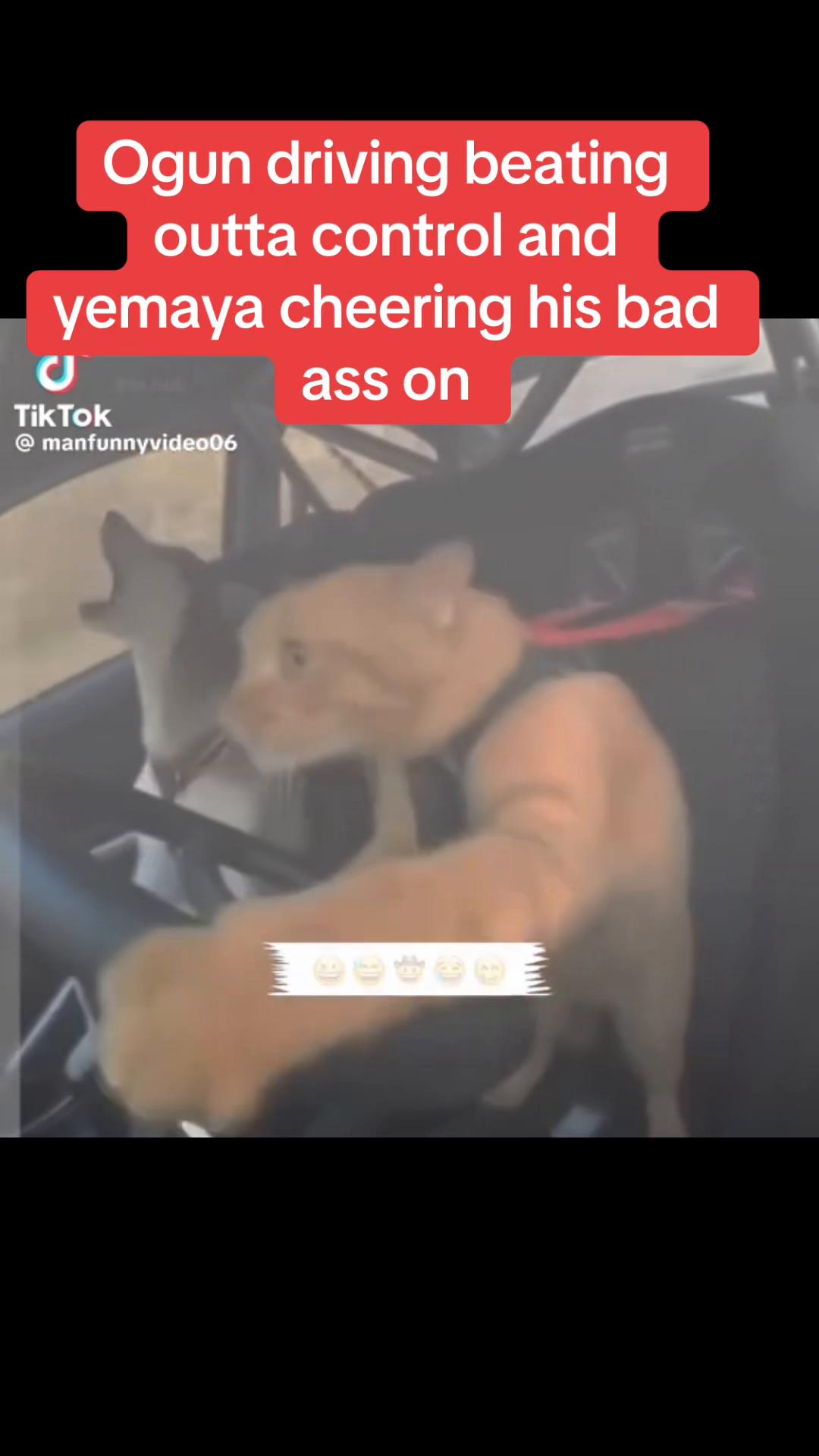 @Queen