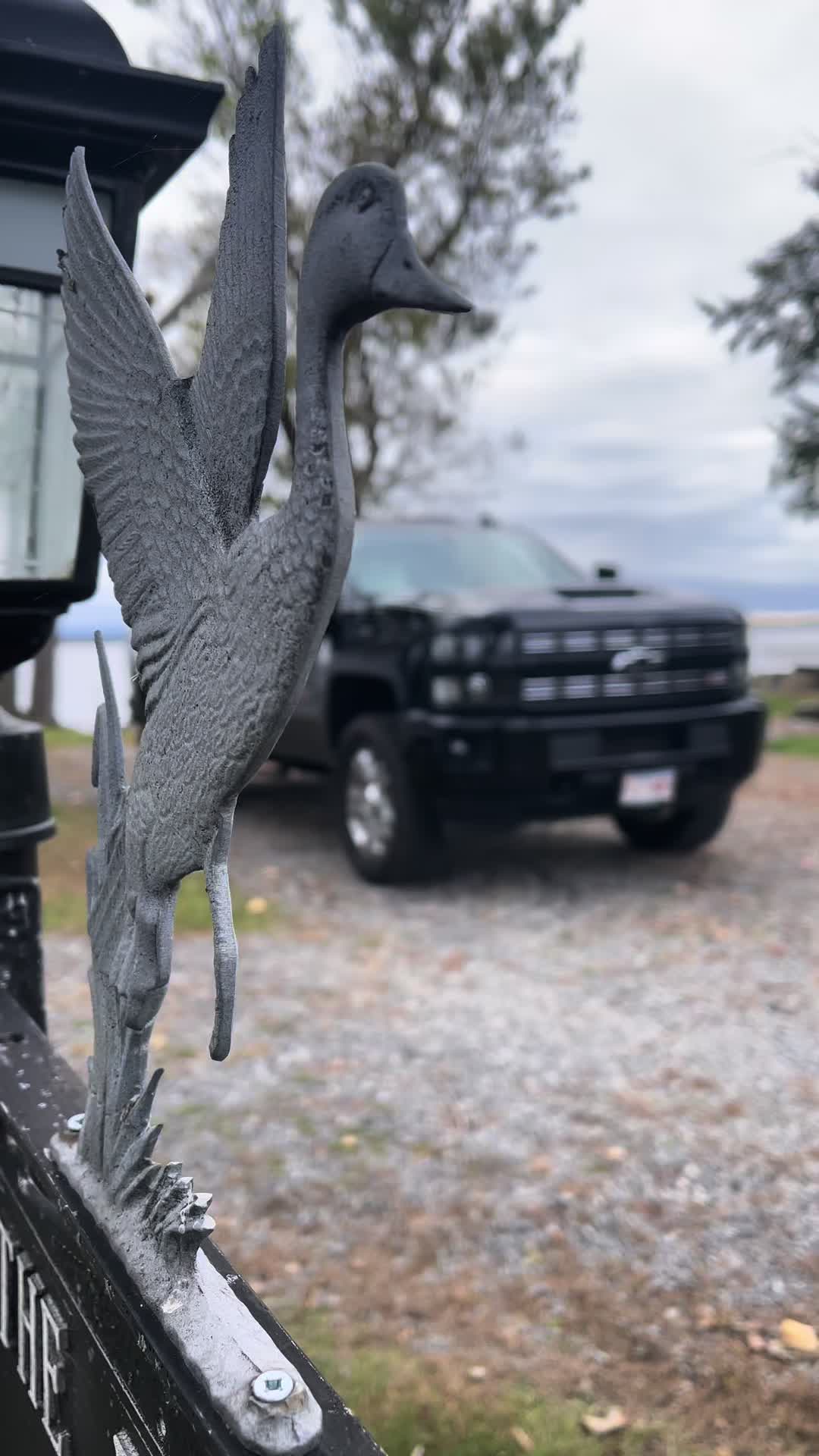 @BD_L5P
