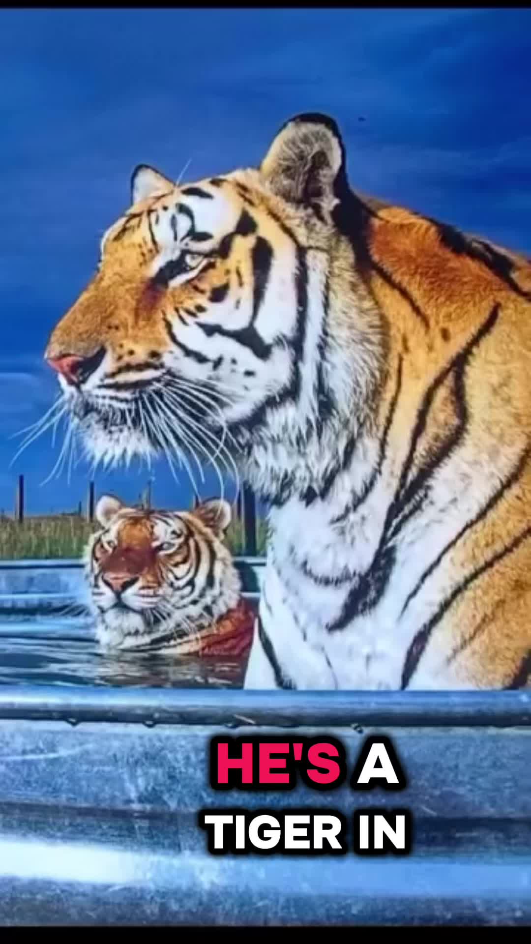 @rpjjazzmanG7💙