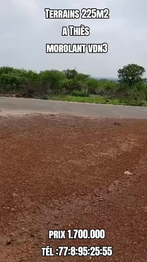 @Sénégal dakar habitat 🇸🇳