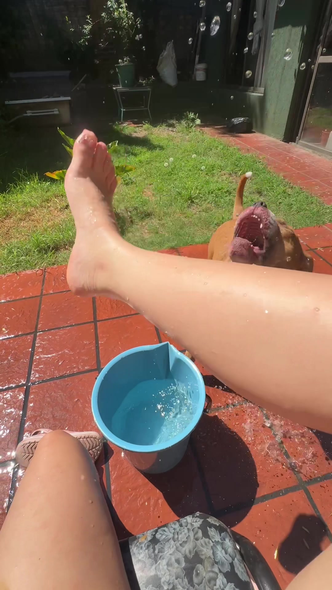 @iaradelf
