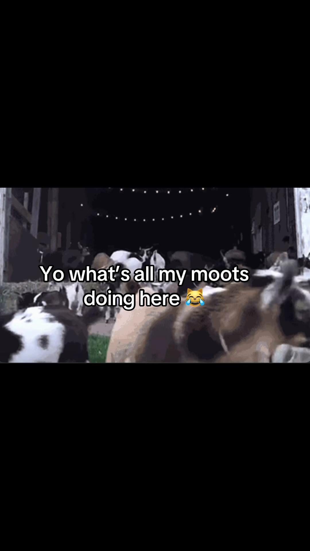 @Shid0u