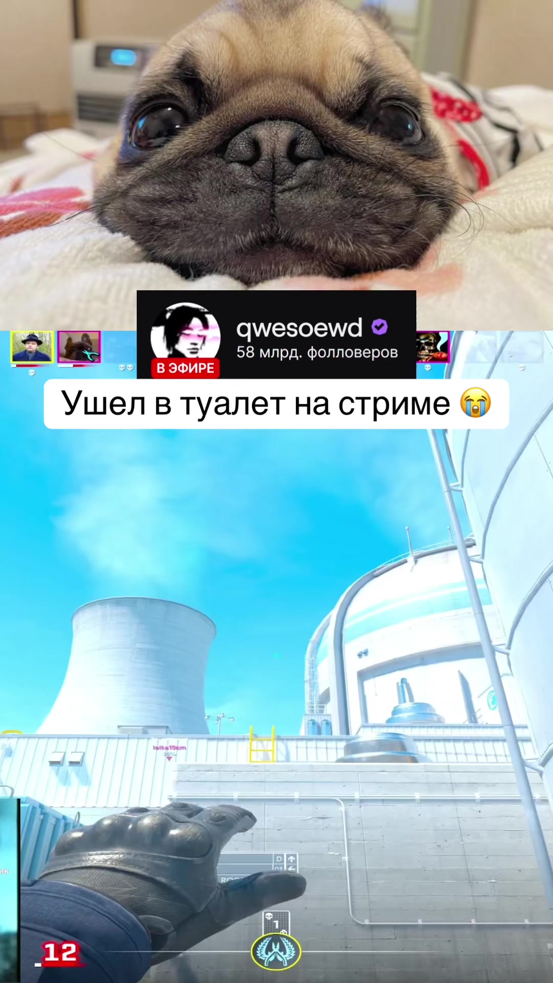 @qwesoewd_official