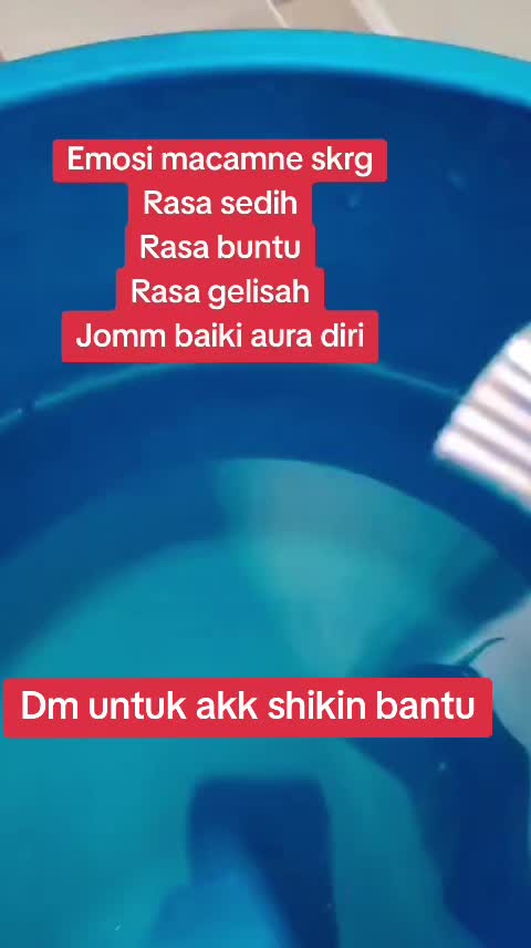 @Raiyyan Rezeki Magic 729