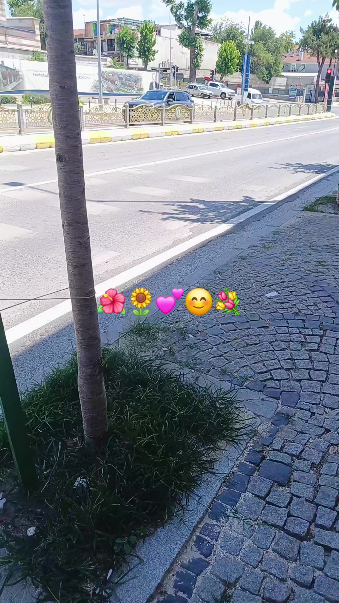 @yaseminsal