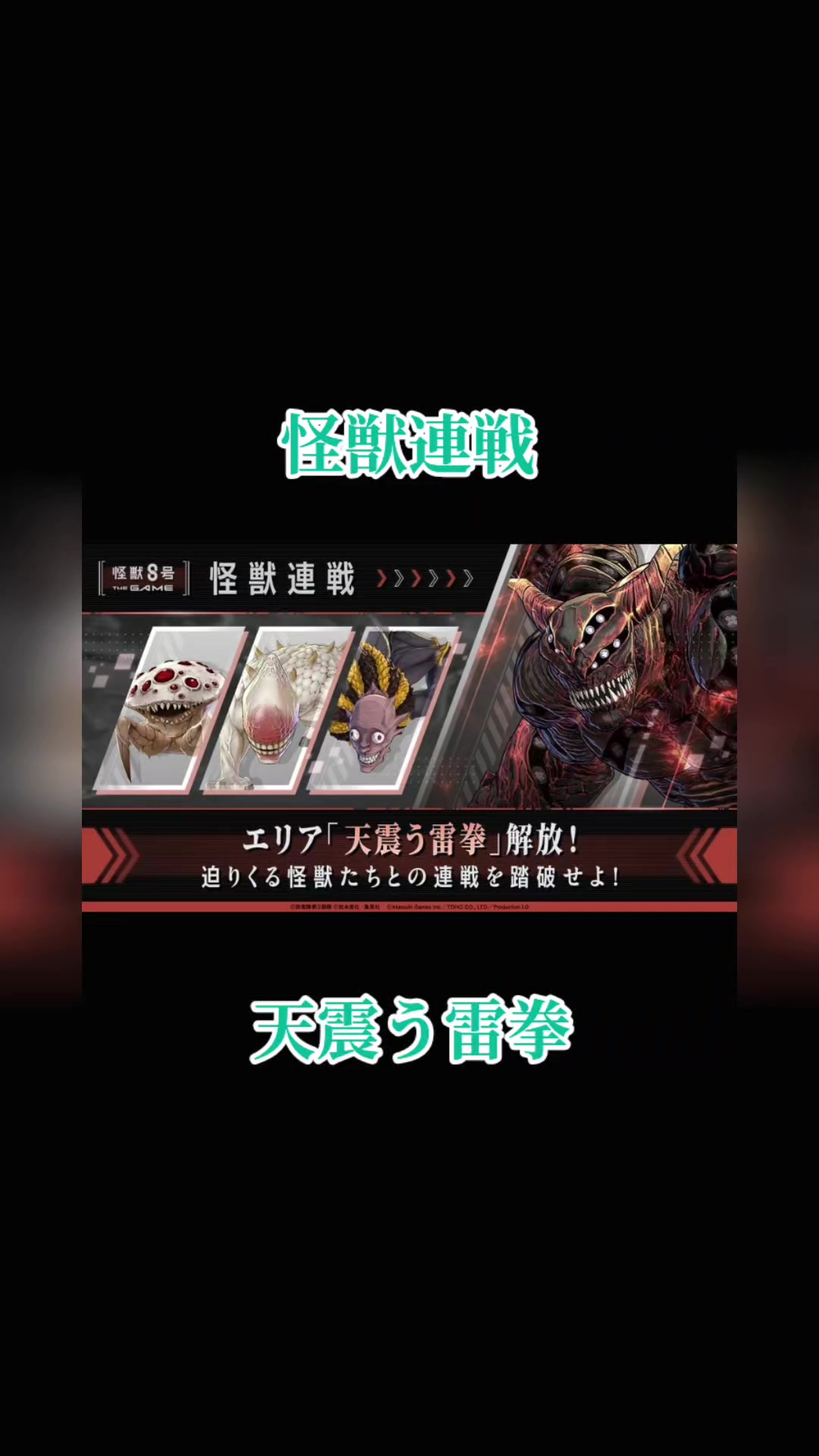 @猫