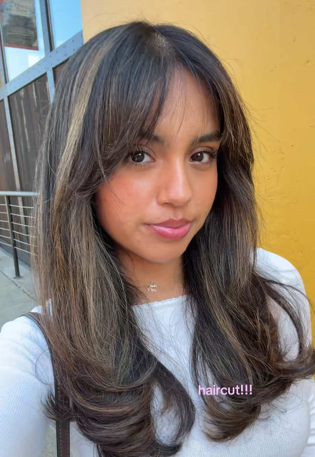 @alejandra