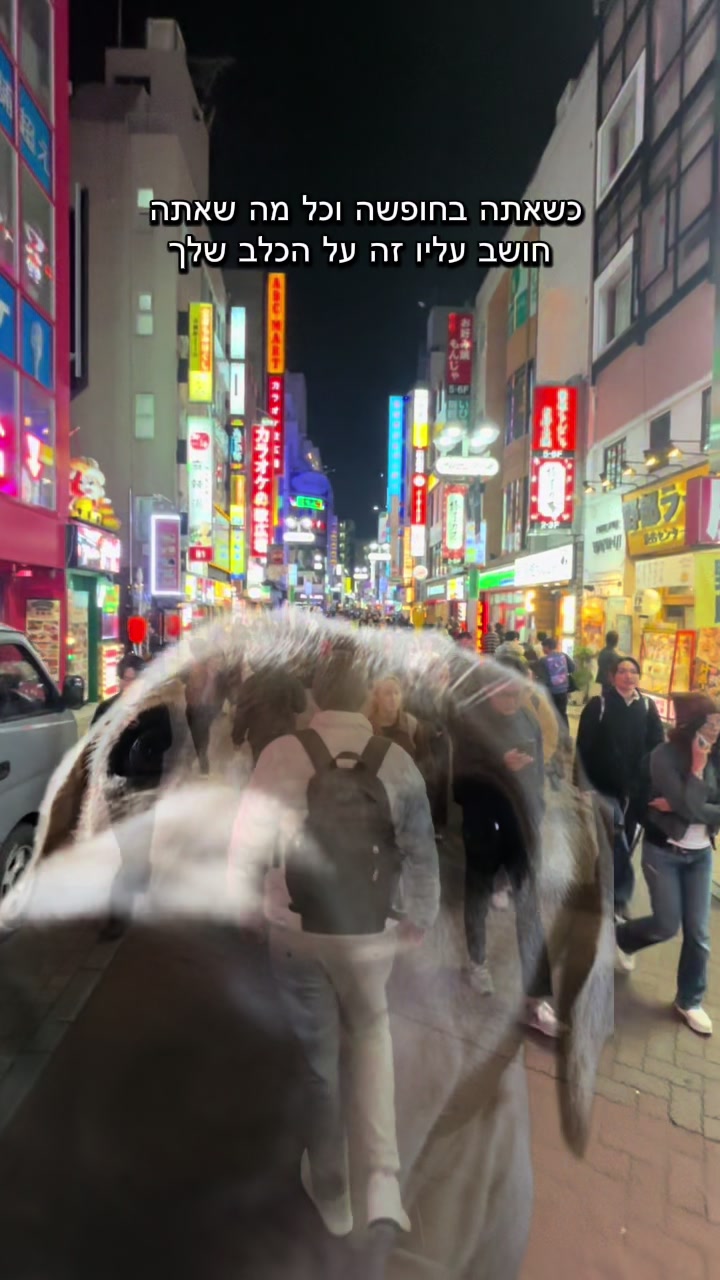 @Buri_The_Labrador