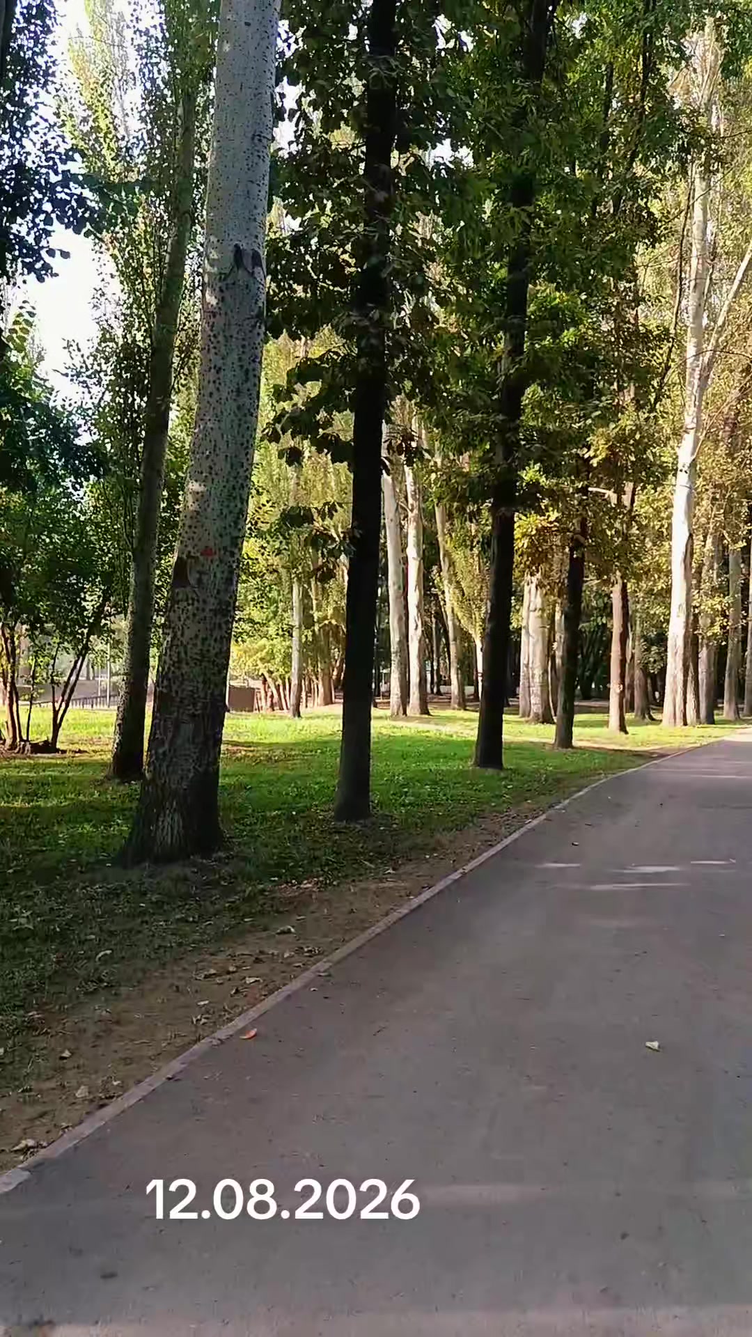 @zinaida0730