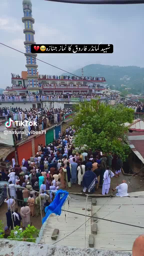 @Sardar Hassan