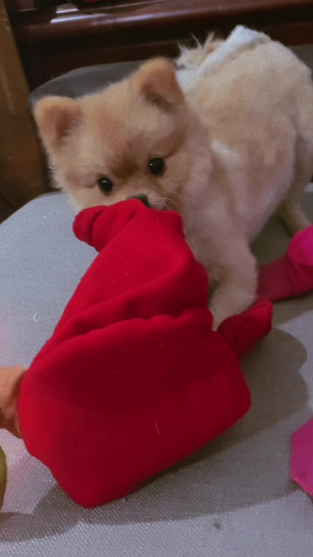 @honey哈尼