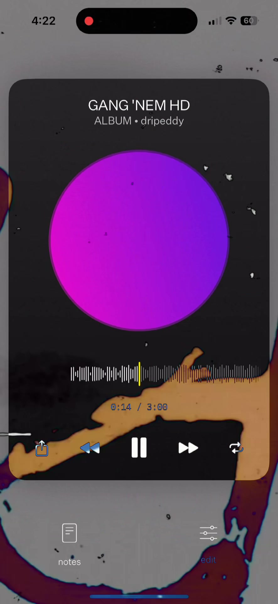 @dripeddydakid