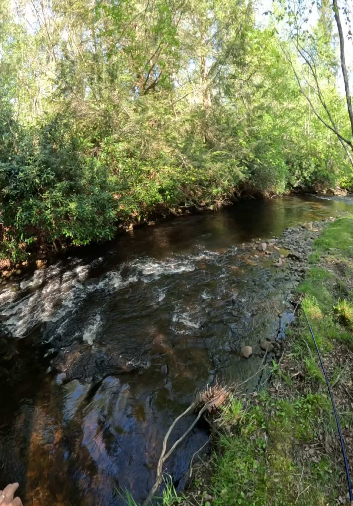 @FlyFishDelawhere