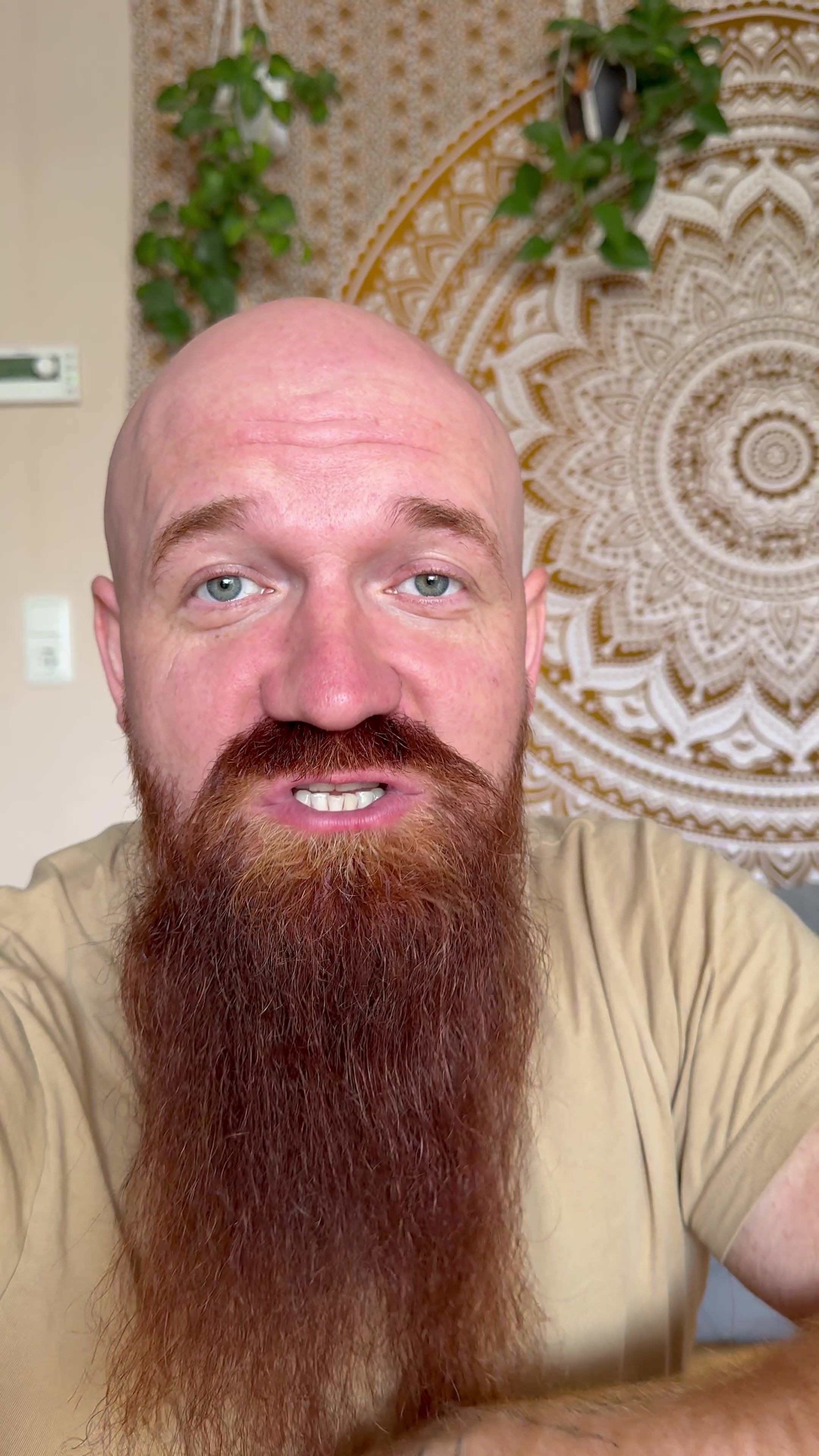 @Red Beard Dad