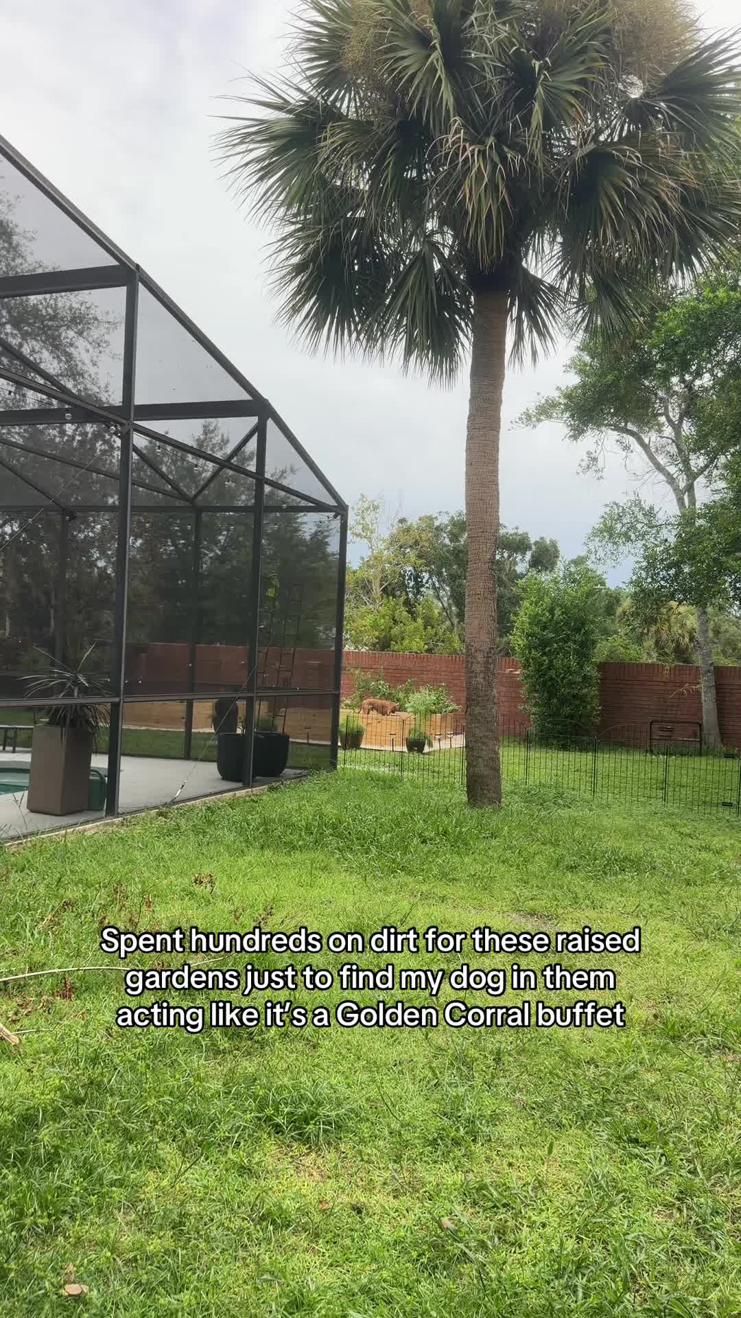 @Sarah
