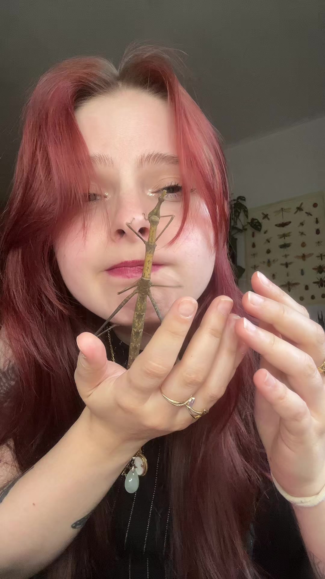 @Am🪲🎀
