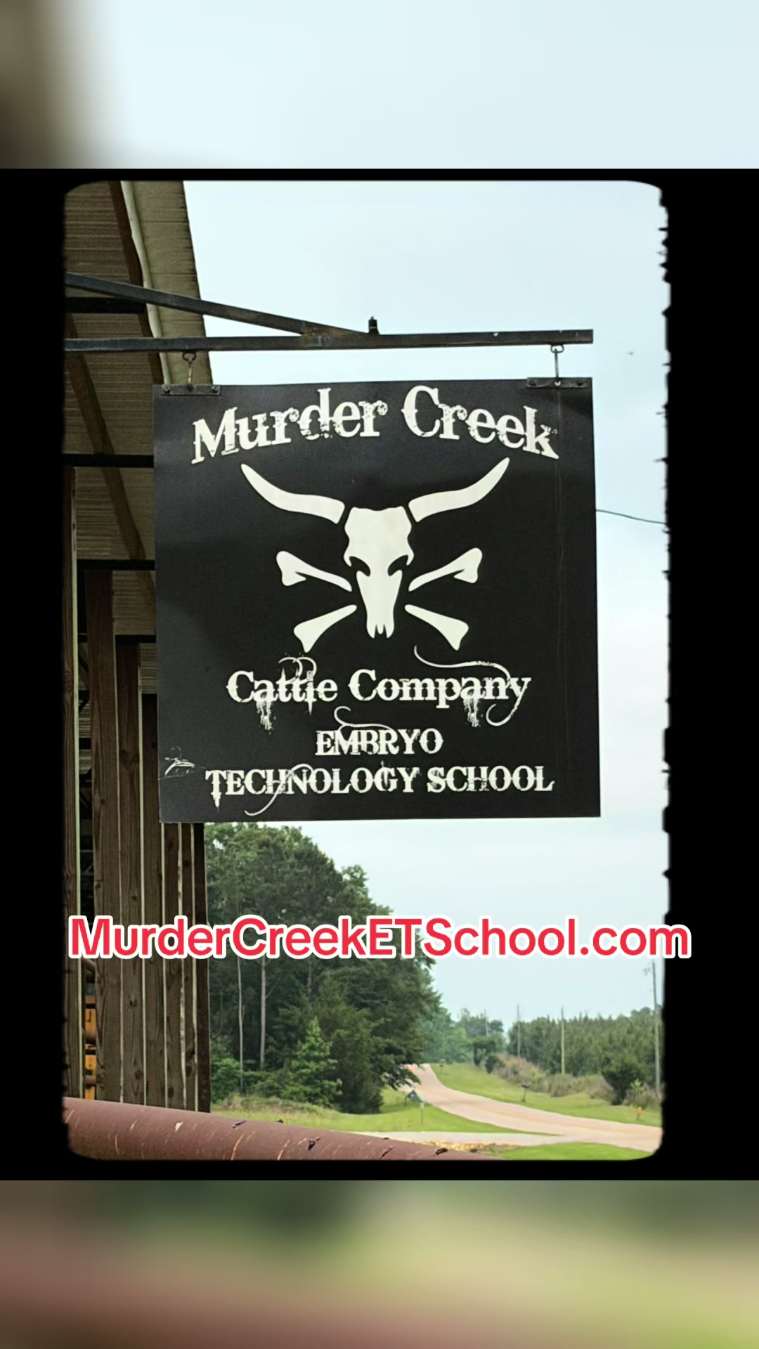 @Murder_Creek_Cattle_Co