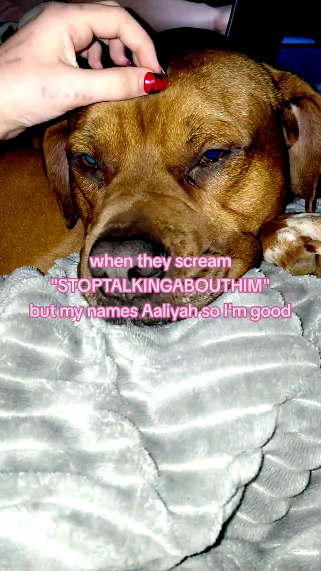 @โห๐ ๐ฆ๐ฐ Aaliyah ๐๐ฆ ๐หโ