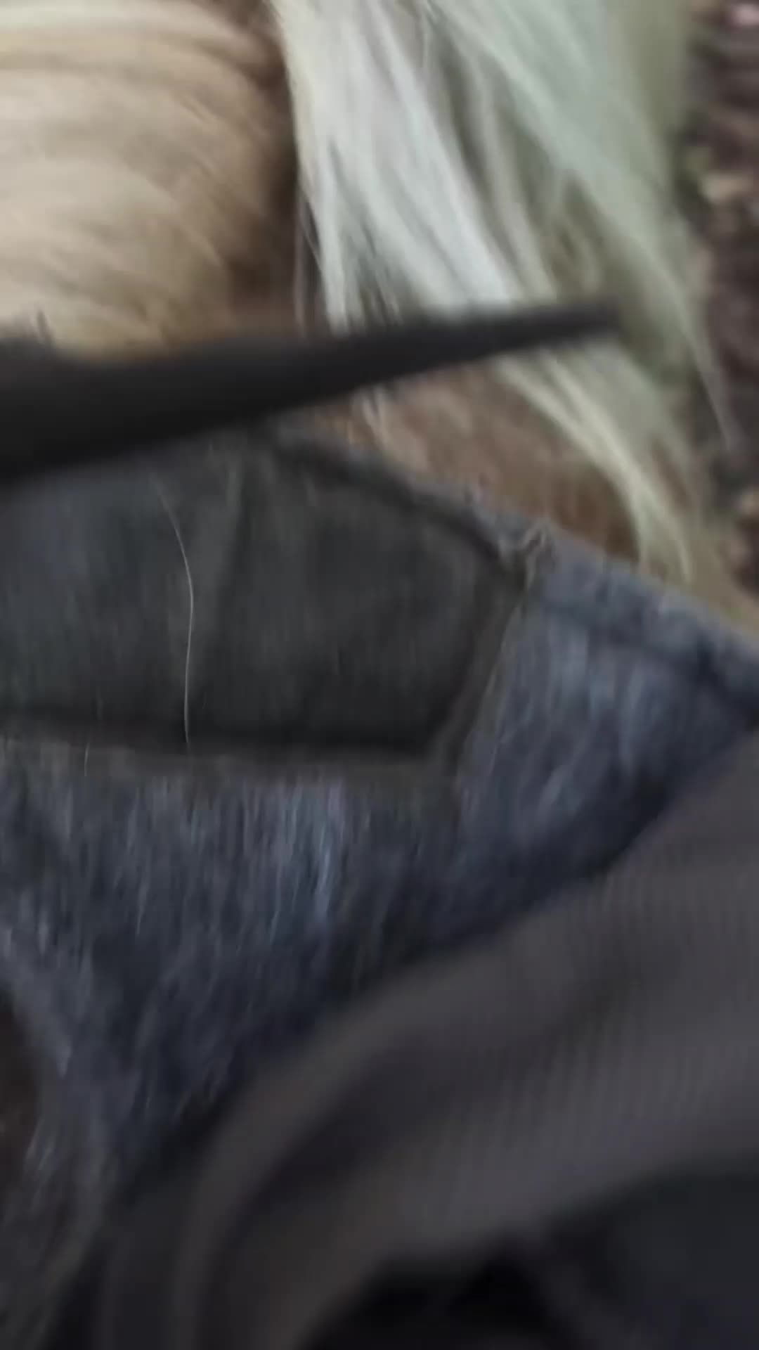 @dorissaddle_soul