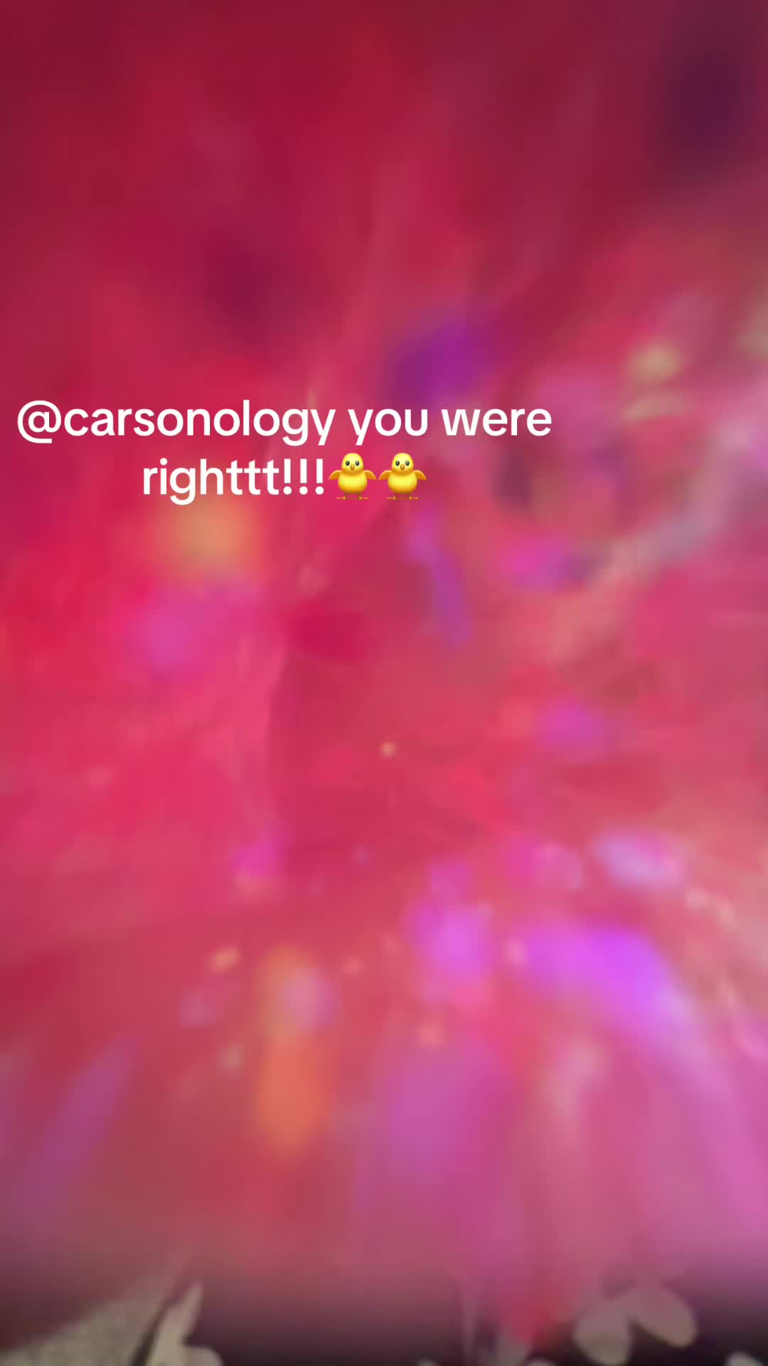 @makennak8