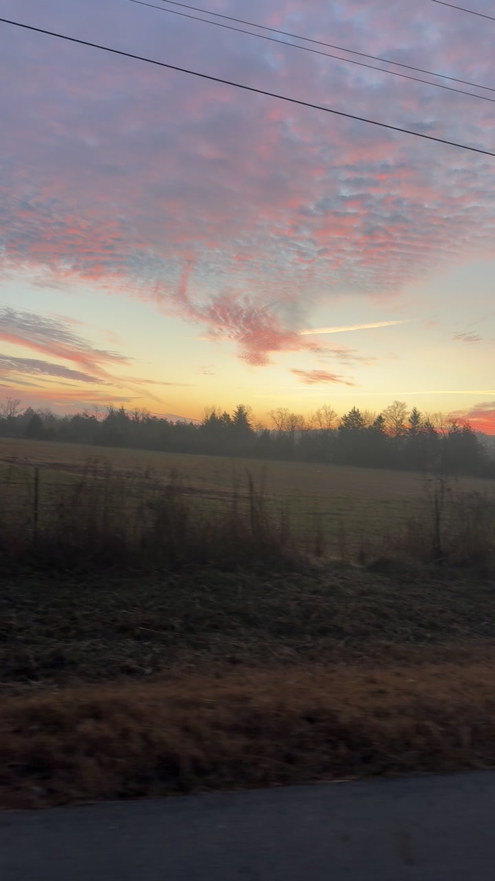 @Allison Rowe • Rowe Cattle Co