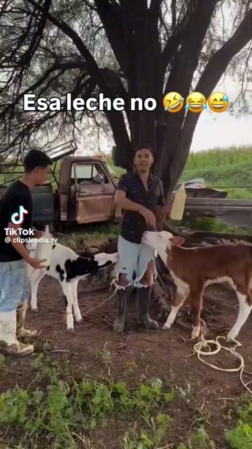 @cruzzito el árabe 503