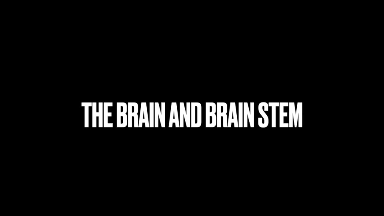 @Anatomy/ Physiology Project