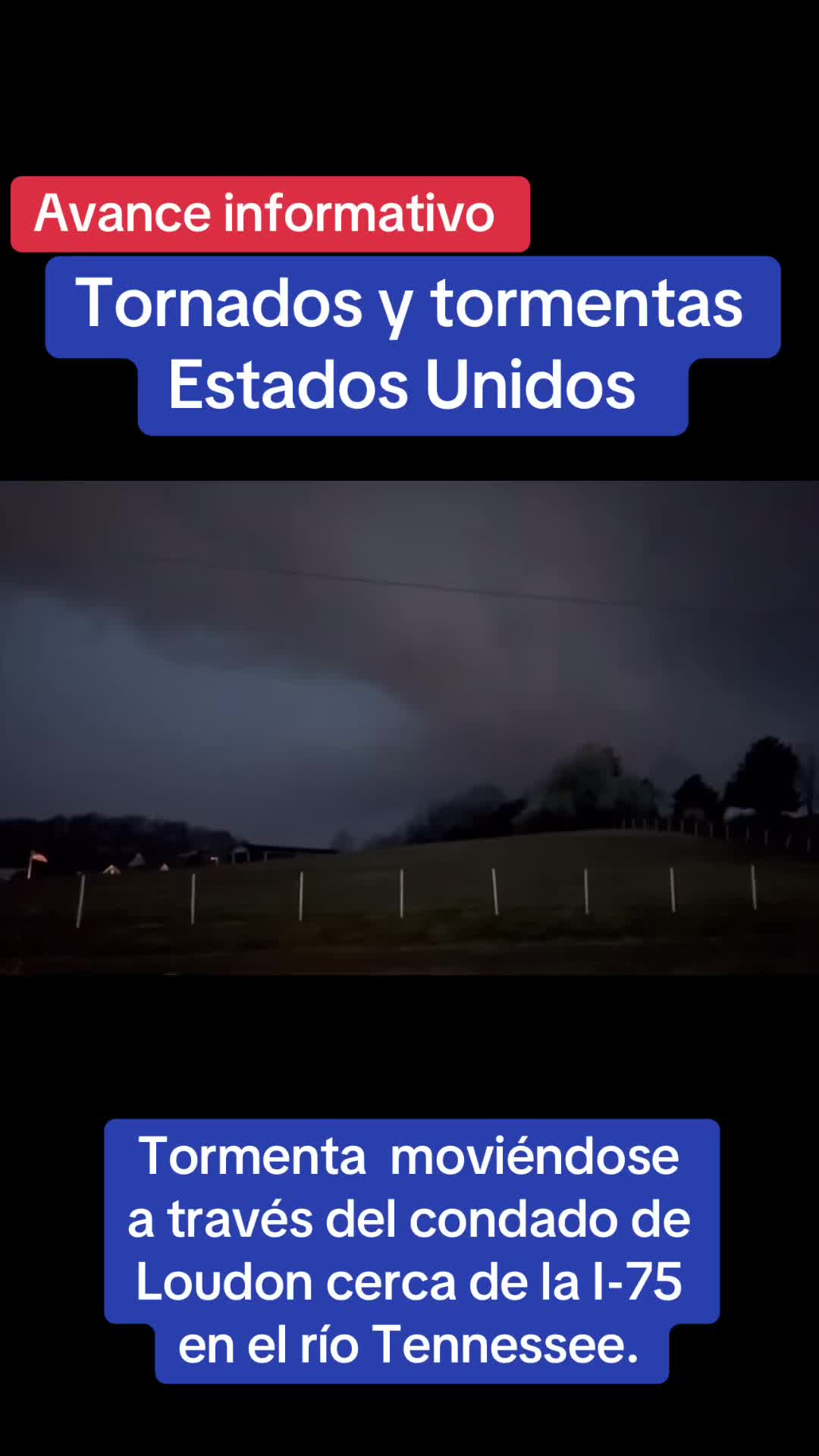 @Infomundo89
