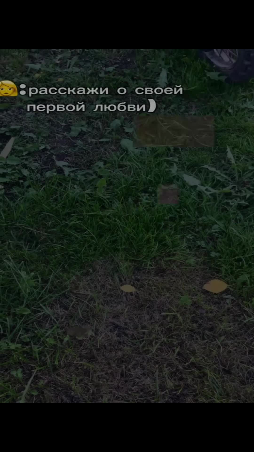 @oxo_vod