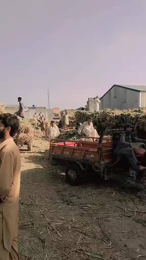 @ali Gujjar