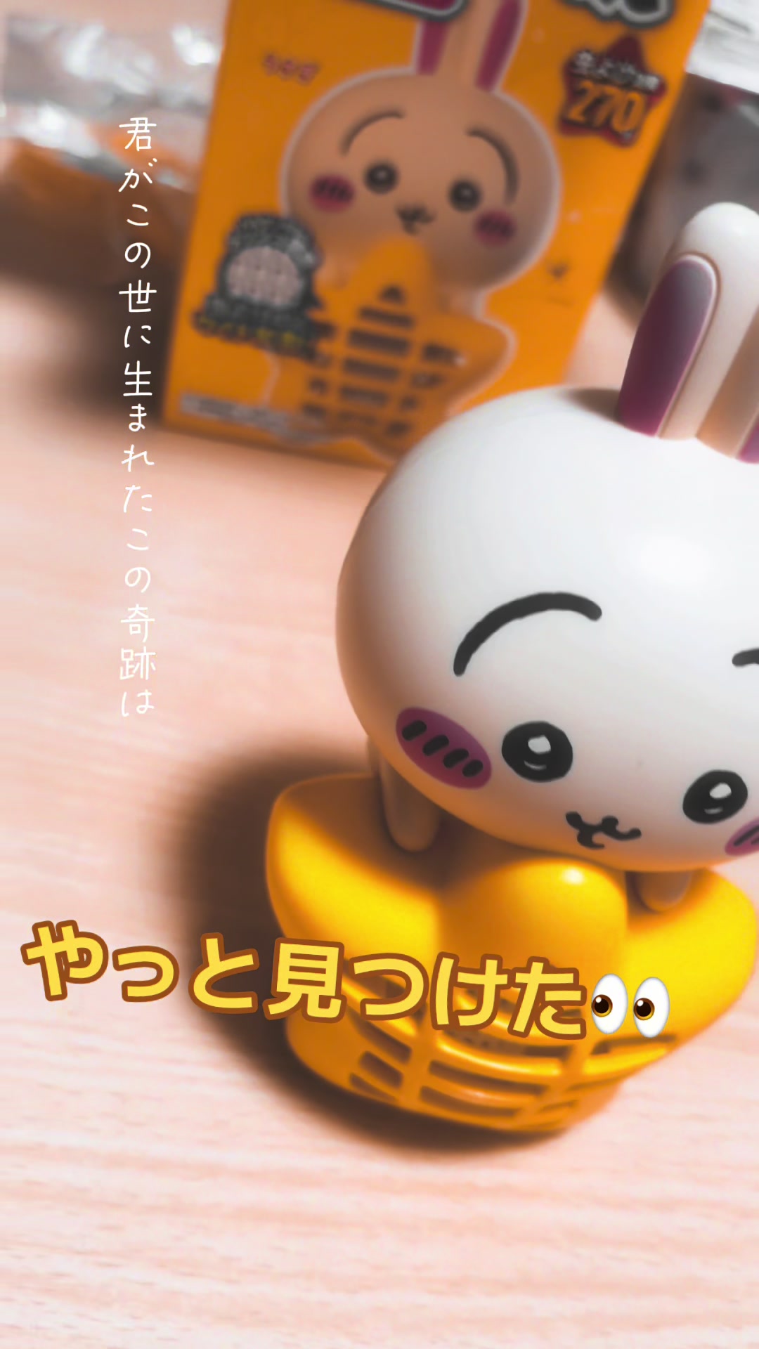 @R.Yさん🦍🍳