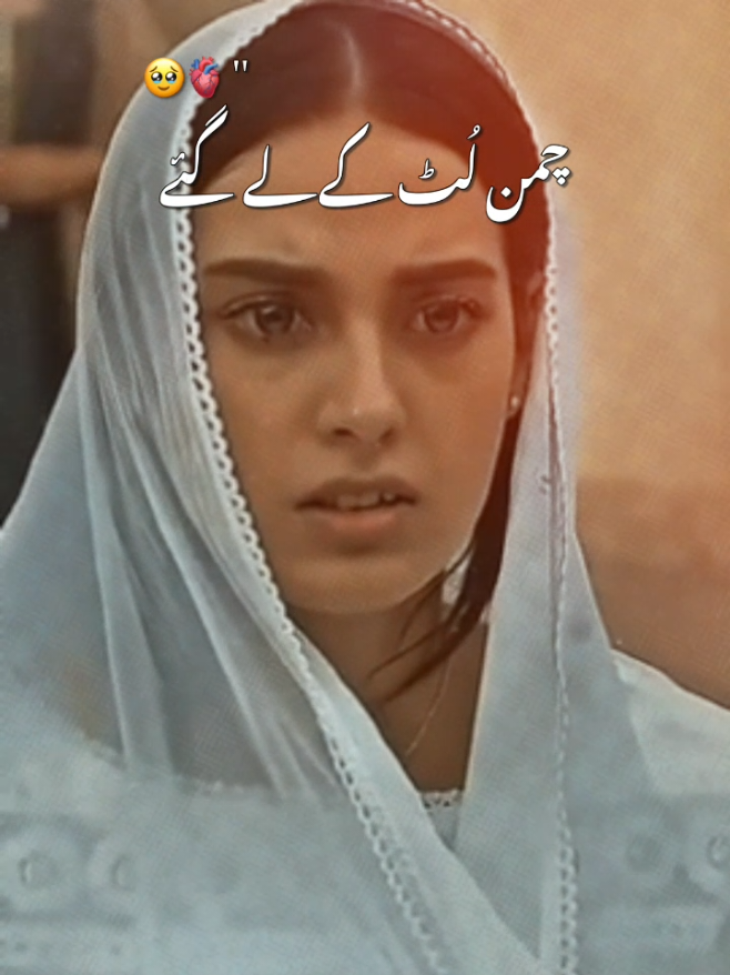 @Saeed Shah ❤