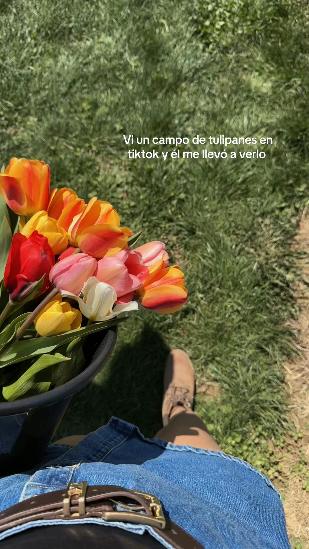 @Nayara 🌻