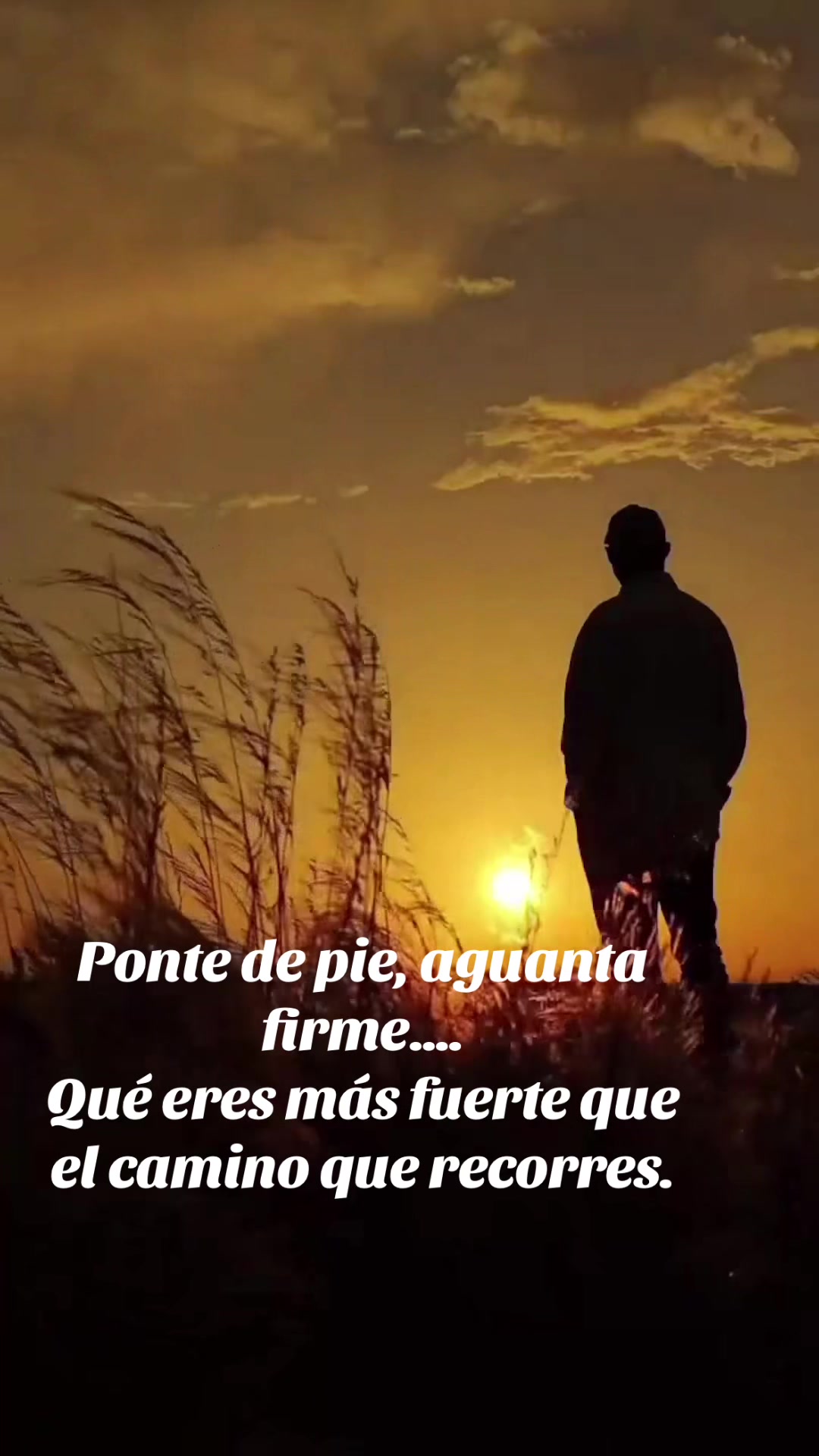 @Raul1961